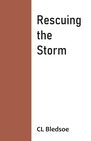 Rescuing the Storm