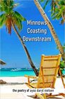 Minnows Coasting Downstream