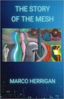 The Story Of the Mesh