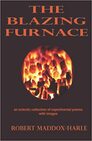 The Blazing Furnace: AN ECLECTIC COLLECTION OF EXPERIMENTAL POEMS WITH IMAGES