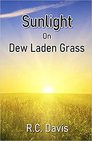 Sunlight On Dew Laden Grass